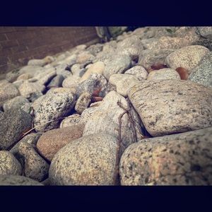 Bundle time! 🌻🙌🏼